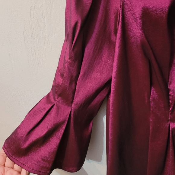 Vintage Timeless Plum Pink Ruffle Occasion button down Blouse New without tag! - Picture 5 of 9